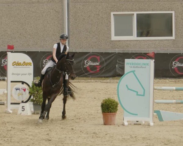 Reitturnier Kalenborn Hegehof 2024