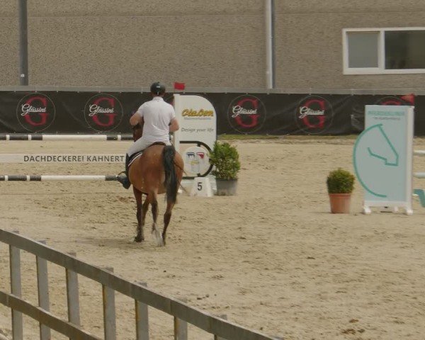 Reitturnier Kalenborn Hegehof 2024