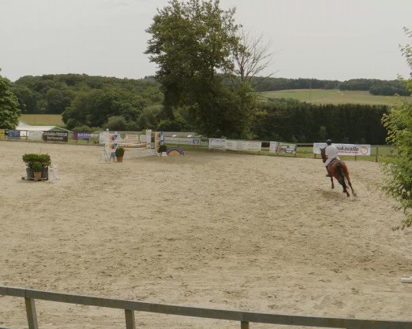 Reitturnier Kalenborn Hegehof 2024
