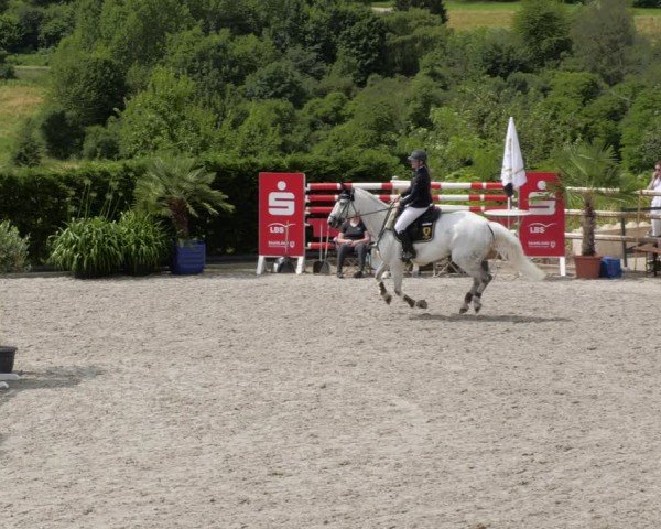 Reitturnier Margarethenhof / Beckingen 2024