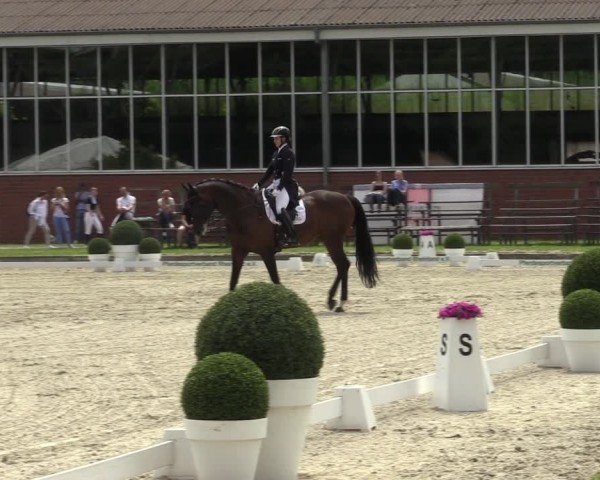 Reitturnier Langenfeld 2024