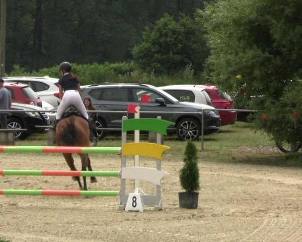 Reitturnier Bad Liebenstein/Sorga 2024