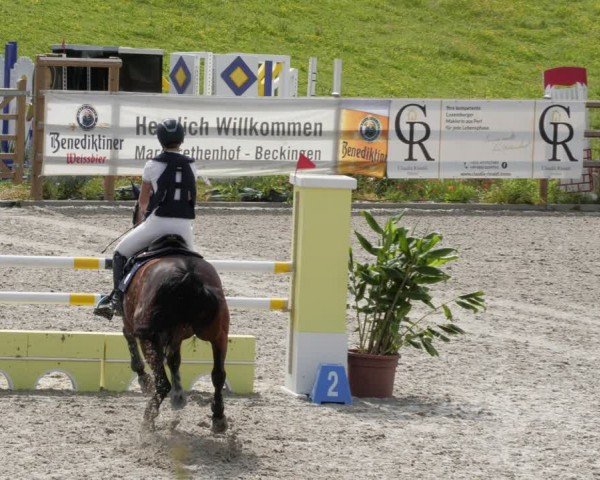 Reitturnier Margarethenhof / Beckingen 2024