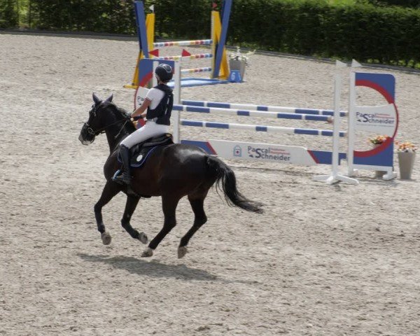 Reitturnier Margarethenhof / Beckingen 2024