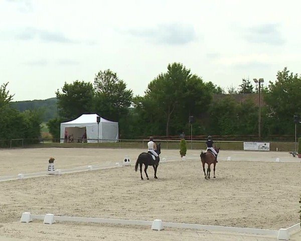 Reitturnier Großbardorf/Ufr. 2024