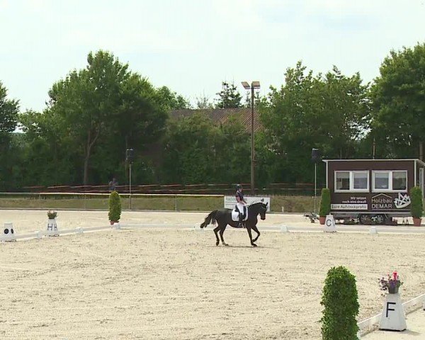 Reitturnier Großbardorf/Ufr. 2024