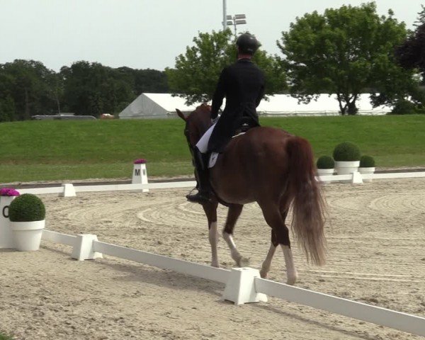 Reitturnier Langenfeld 2024