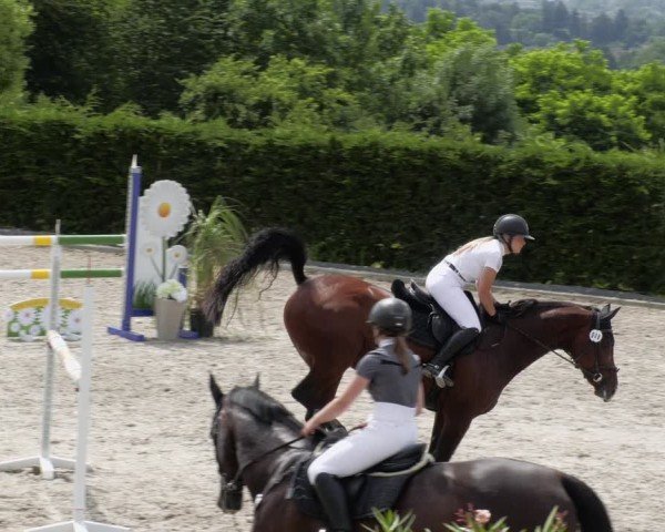 Reitturnier Margarethenhof / Beckingen 2024
