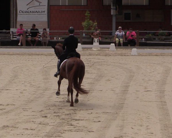 Reitturnier Uder, Reitanlage Kobold 2024