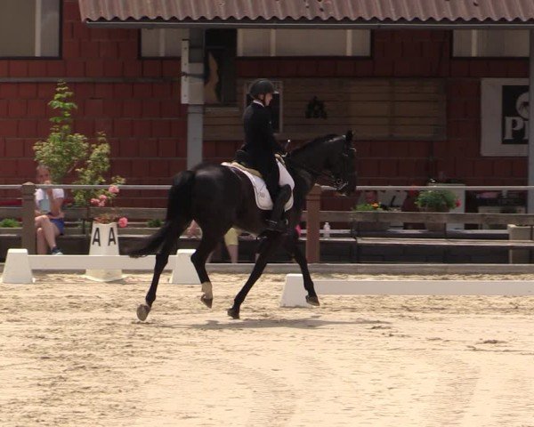 Reitturnier Uder, Reitanlage Kobold 2024