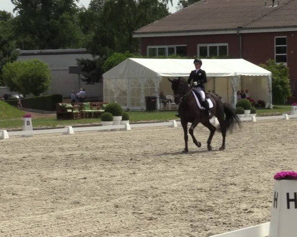 Reitturnier Langenfeld 2024