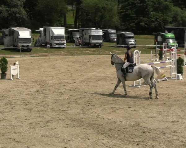 Reitturnier Bad Liebenstein/Sorga 2024