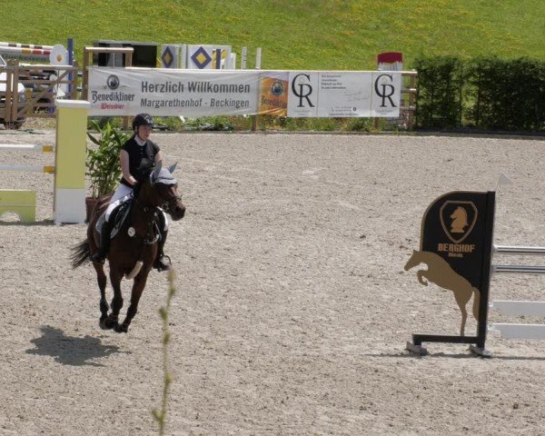 Reitturnier Margarethenhof / Beckingen 2024
