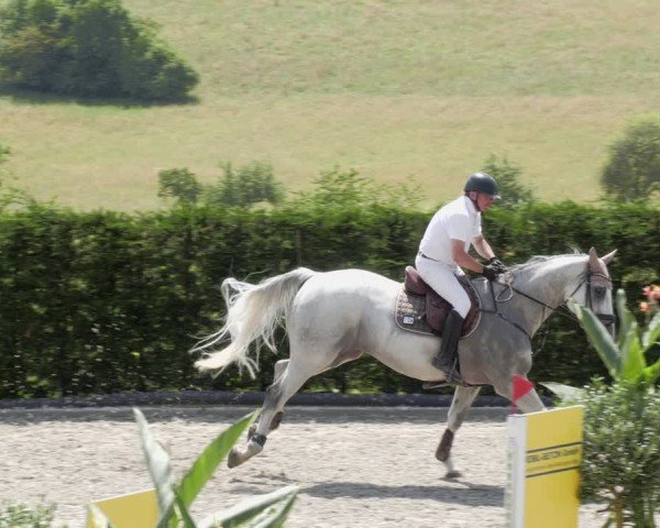 Reitturnier Margarethenhof / Beckingen 2024