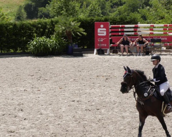 Reitturnier Margarethenhof / Beckingen 2024