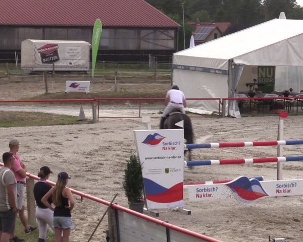 Reitturnier Holschdubrau 2024