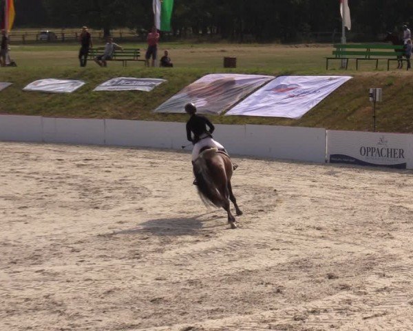 Reitturnier Holschdubrau 2024