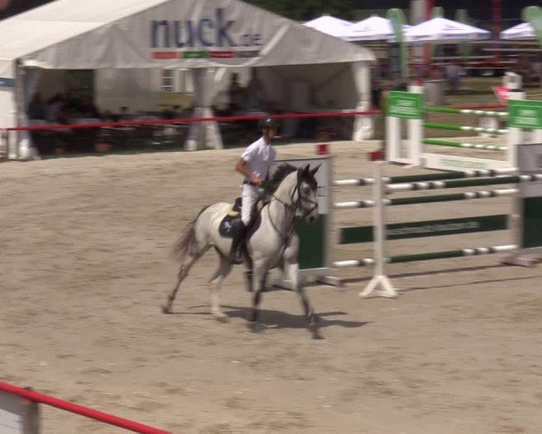 Reitturnier Holschdubrau 2024