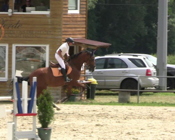Reitturnier Bad Liebenstein/Sorga 2024