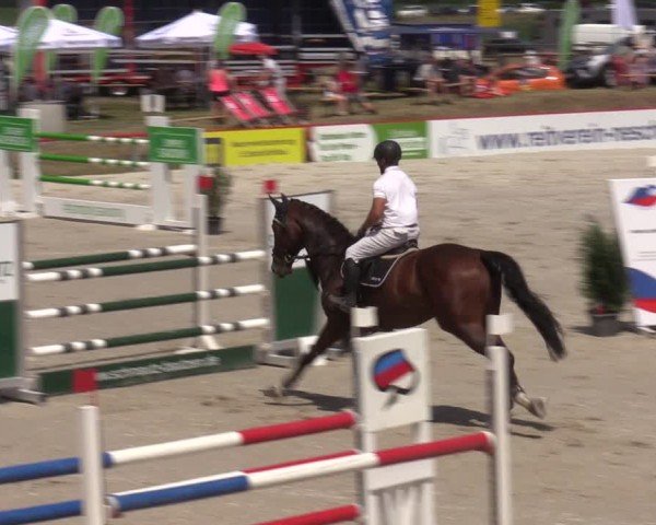 Reitturnier Holschdubrau 2024