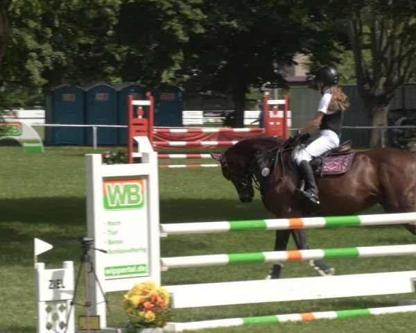 Reitturnier Schwittersdorf-Beesenstedt 2024