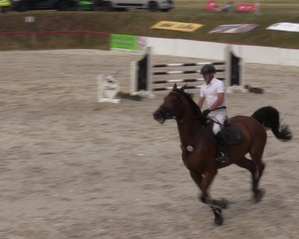 Reitturnier Holschdubrau 2024