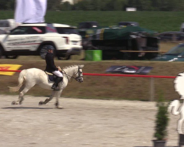 Reitturnier Holschdubrau 2024