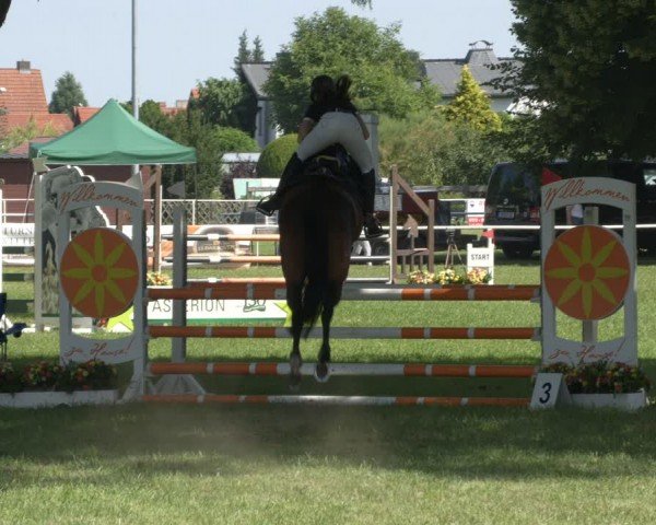 Reitturnier Schwittersdorf-Beesenstedt 2024