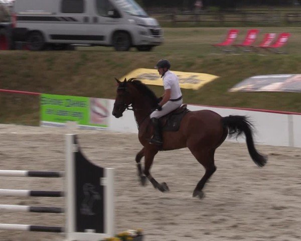 Reitturnier Holschdubrau 2024