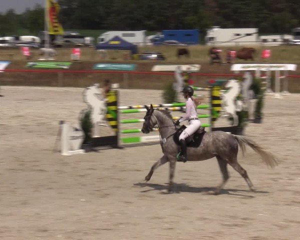 Reitturnier Holschdubrau 2024