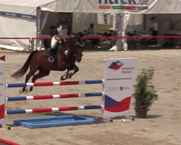 Reitturnier Holschdubrau 2024