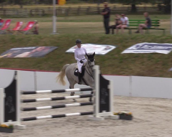 Reitturnier Holschdubrau 2024