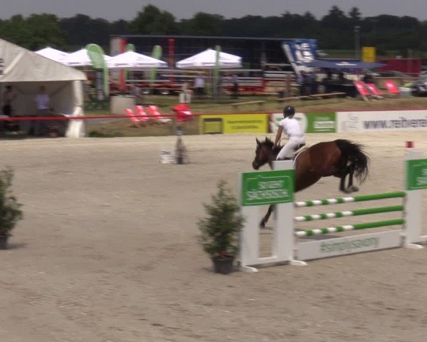 Reitturnier Holschdubrau 2024