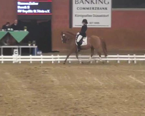 Junior Open 2012