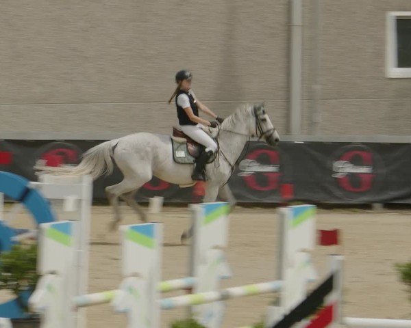 Reitturnier Kalenborn Hegehof 2024