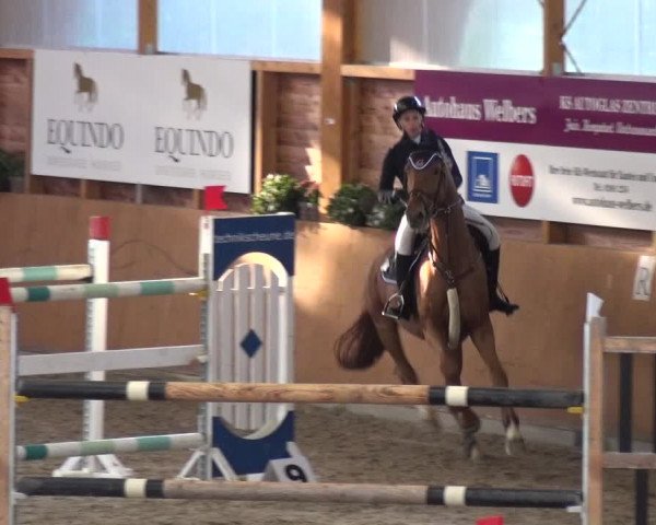 Springturnier Xanten - Reitanlage Miss 2021
