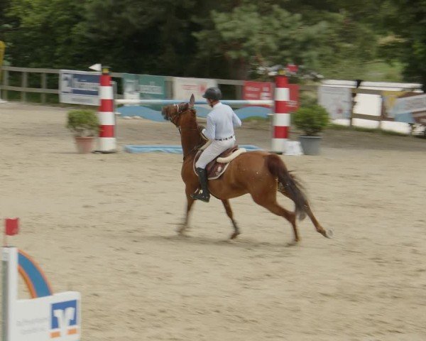 Reitturnier Kalenborn Hegehof 2024