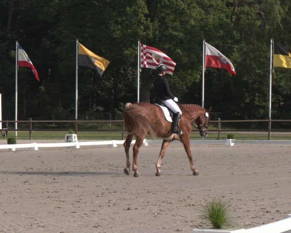 Reitturnier Luhmühlen 2024