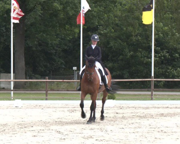Reitturnier Luhmühlen 2024