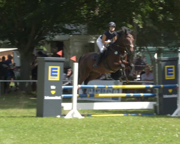 Reitturnier Schwittersdorf-Beesenstedt 2024