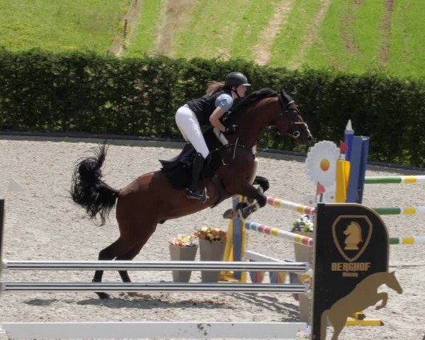 Reitturnier Margarethenhof / Beckingen 2024