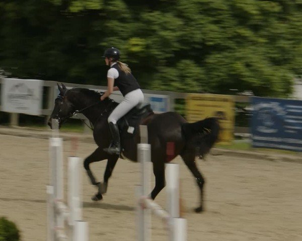 Reitturnier Kalenborn Hegehof 2024