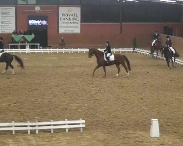 Junior Open 2012