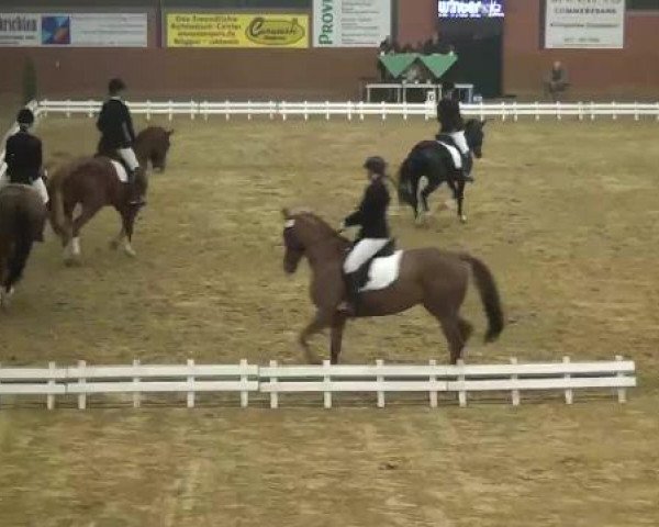 Junior Open 2012