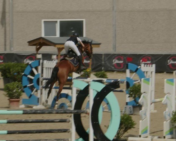 Reitturnier Kalenborn Hegehof 2024