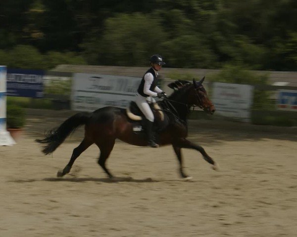 Reitturnier Kalenborn Hegehof 2024