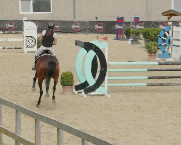 Reitturnier Kalenborn Hegehof 2024