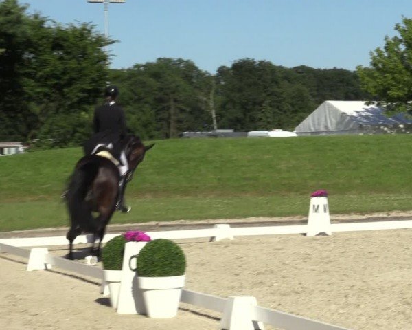 Reitturnier Langenfeld 2024