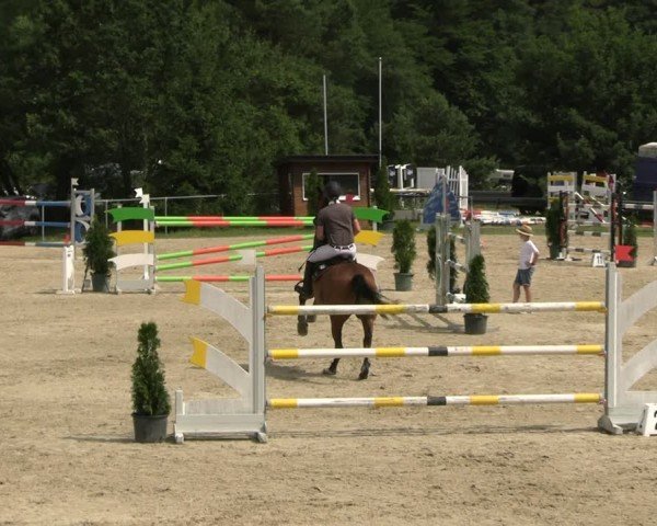 Reitturnier Bad Liebenstein/Sorga 2024