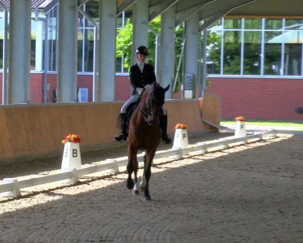 Reitturnier Langenfeld 2024